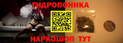 прущие крисы Ипатово